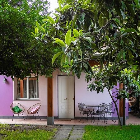Giardino Carya - Giarre Centro 빌라 외부 사진